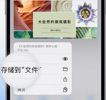 兰坪apple维修中心分享iPhone文件应用中存储和找到下载文件