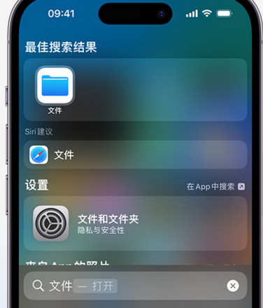 兰坪apple维修中心分享iPhone文件应用中存储和找到下载文件 