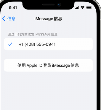 兰坪apple维修iPhone上无法正常发送iMessage信息 