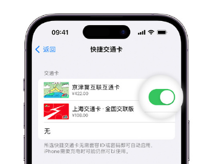 兰坪apple维修点分享iPhone上更换Apple Pay快捷交通卡手绘卡面 