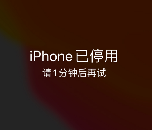 兰坪苹果手机维修分享:iPhone 显示“不可用”或“已停用”怎么办？还能保留数据吗？ 