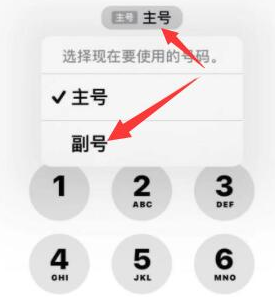 兰坪苹果14维修店分享iPhone 14 Pro Max使用副卡打电话的方法 