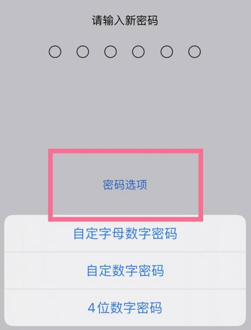 兰坪苹果14维修分享iPhone 14plus设置密码的方法 