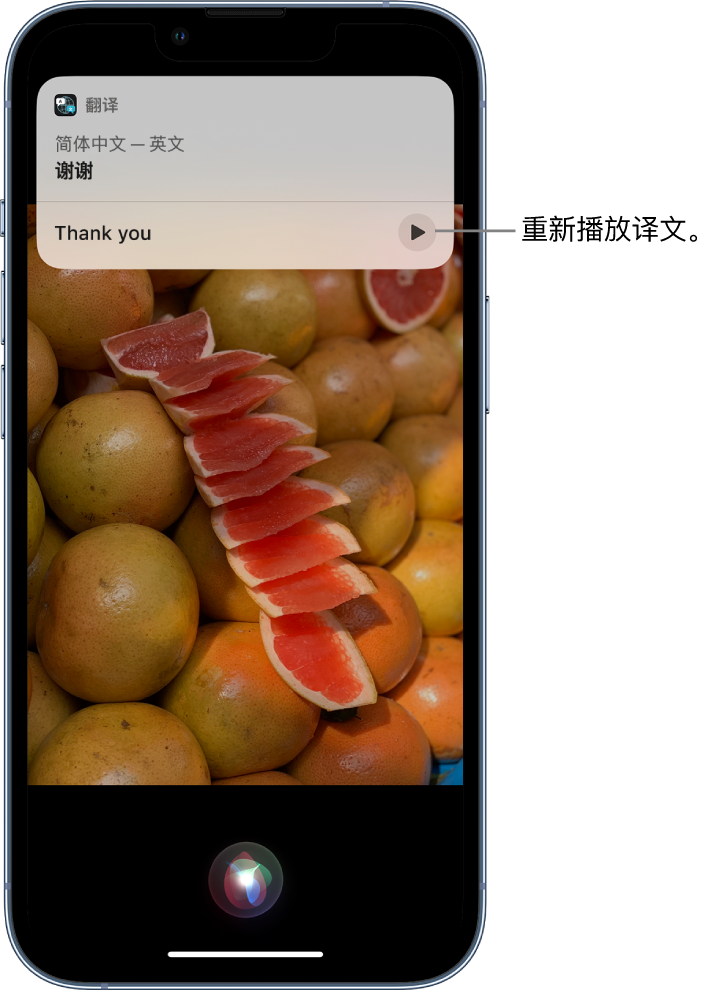 兰坪苹果14维修分享 iPhone 14 机型中使用 Siri：了解 Siri 能帮你做什么 