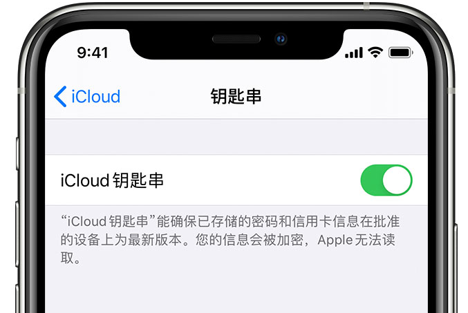 兰坪苹果手机维修分享在 iPhone 上开启 iCloud 钥匙串之后会储存哪些信息 