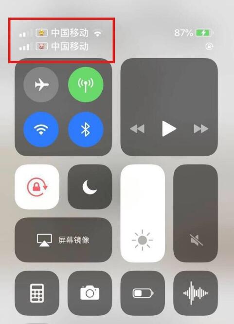 兰坪苹果手机维修分享为 iPhone 12 双卡设置标签 