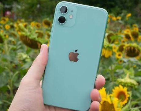 兰坪苹果维修点分享iPhone 11锁屏密码认知与使用科普 