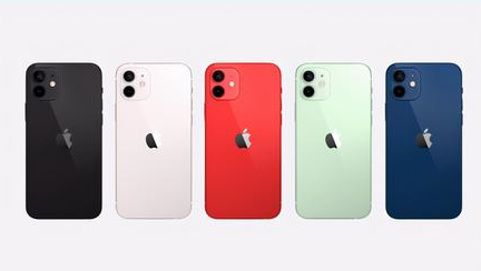 兰坪苹果维修点分享iPhone 12锁屏密码系统机制科普 