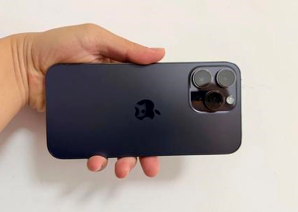 兰坪苹果维修点分享iPhone 14 Pro Max黑屏少见故障盘点 